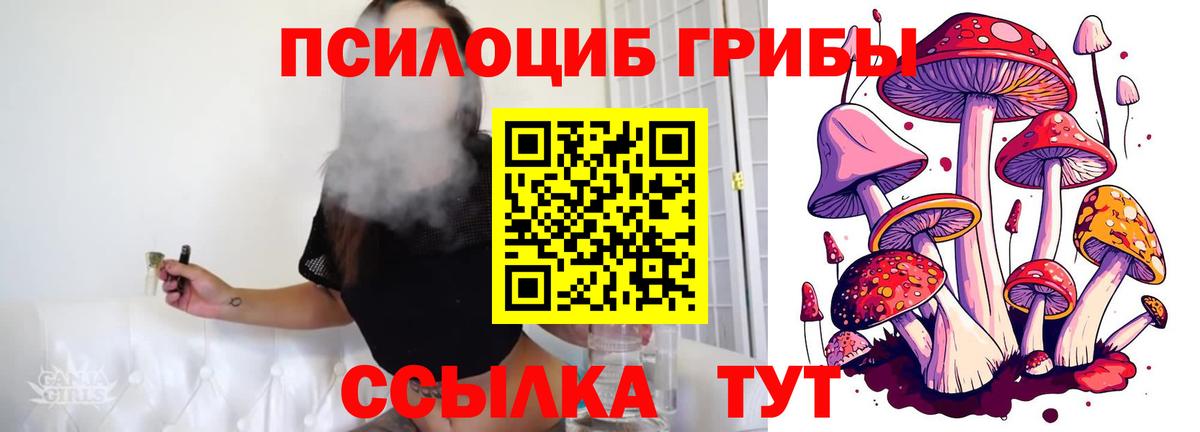 Галлюциногенные грибы ЛСД  Галлюциногенные грибы MAGIC MUSHROOMS  Приморско-Ахтарск  Вход с VPN 