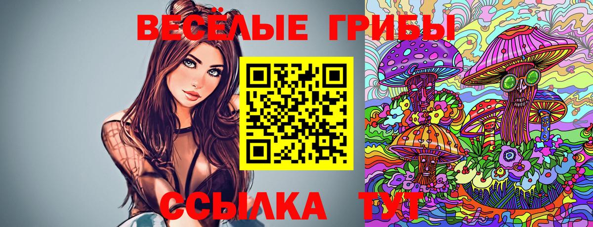 Галлюциногенные грибы Psilocybe Приморско-Ахтарск